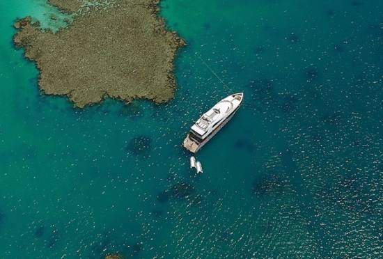 沙特红海