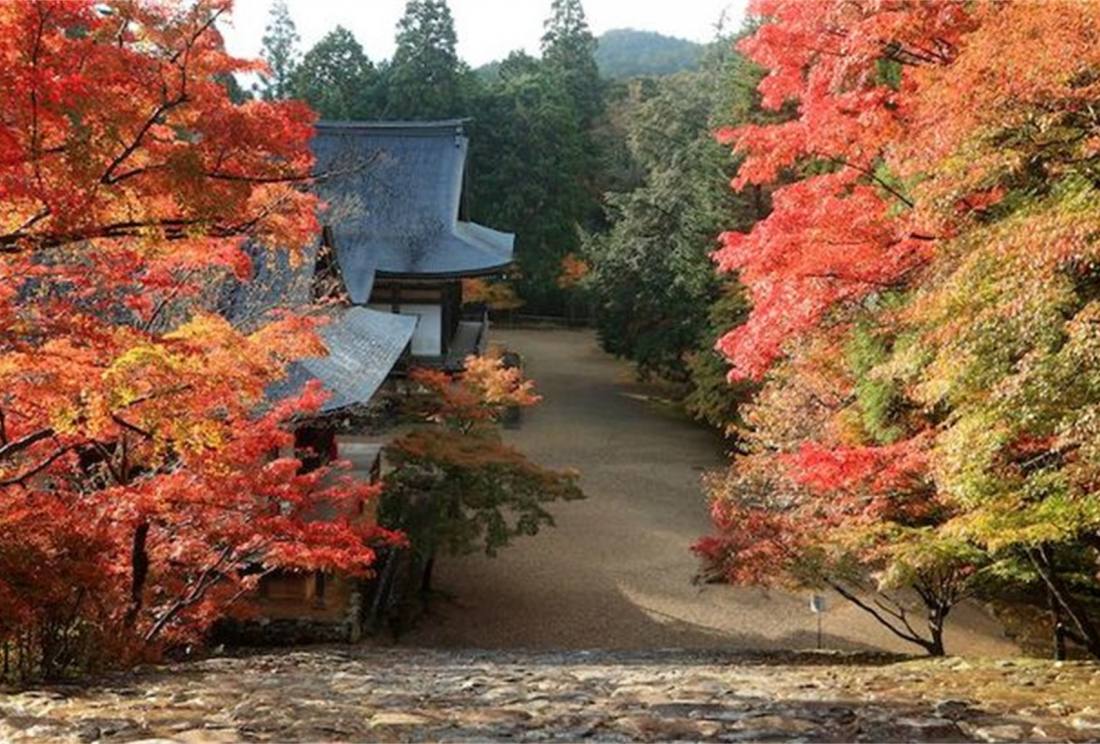 神护寺